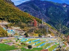 -四明山国家森林公园