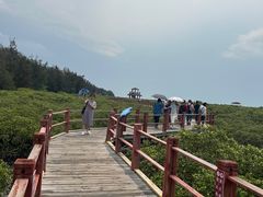 -北海金海湾红树林生态旅游区