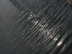 -前关湿地公园