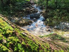 -玉渡山自然风景区