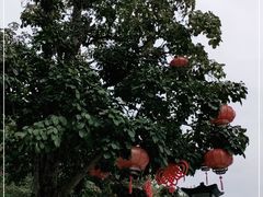 -小南山公园