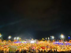 景点-告庄西双景