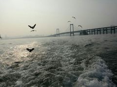 -星海湾跨海大桥