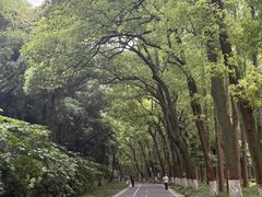 -采石矶景区