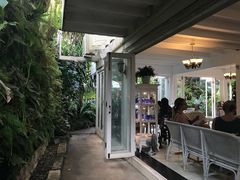 -Fern Forest Cafe