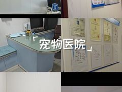-守诺宠物医院·眼科· 特色牙科·异宠专科(虹口店)