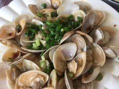 -金海湾海鲜排档(朱家尖店)