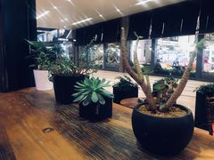 -MUSEE CAFE(保利·时光里店)