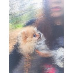 -一然·海俪