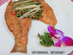 -香巴拉云南餐厅(华莱坞店)