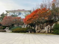-八大关景区