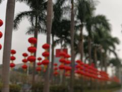 -番禺广场(市桥街道)