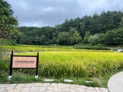 -韶山毛泽东同志故居