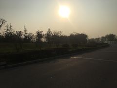 -洨河生态公园