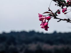 -游子山休闲旅游区