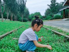 -永定河休闲森林公园