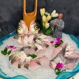 成都南门！！新开的独栋鲜鱼馆🐟🐟