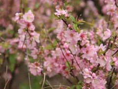 -白塘生态植物园