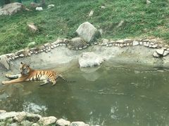 -西安秦岭野生动物园