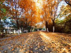 -长春世界雕塑园冰雪艺术天地