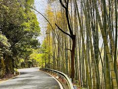 -会稽山峡洞漂流-上青古道