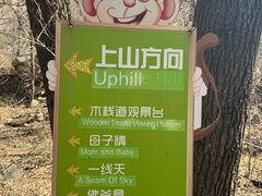 -大岭沟猕猴桃谷风景区