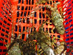 -79号渔船海鲜饭店(华强北店)