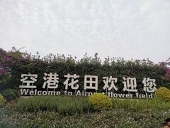 -空港花田景区