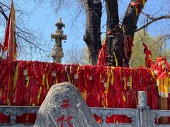 -大槐树寻根祭祖园