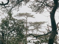 -明堂山风景区
