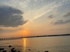 -宝安西湾红树林湿地公园