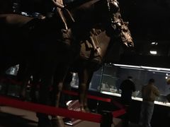 -晋国博物馆