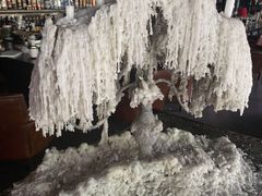 -翠贝卡&Mama Kelly Brunch Coffee(河西店)