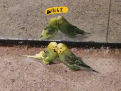 -酷嗒动物文化乐园(cutezoo西溪乐天城店)