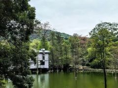 -广州市白云山风景名胜区