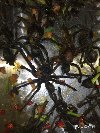 我在柬埔寨吃的各种虫子