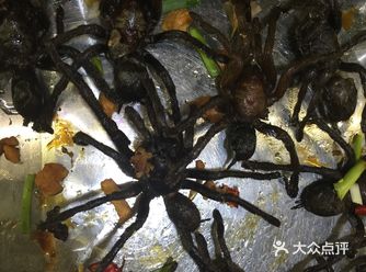 我在柬埔寨吃的各种虫子