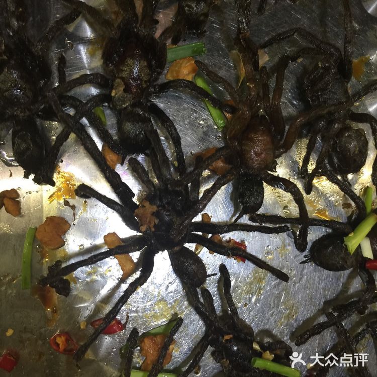 我在柬埔寨吃的各种虫子