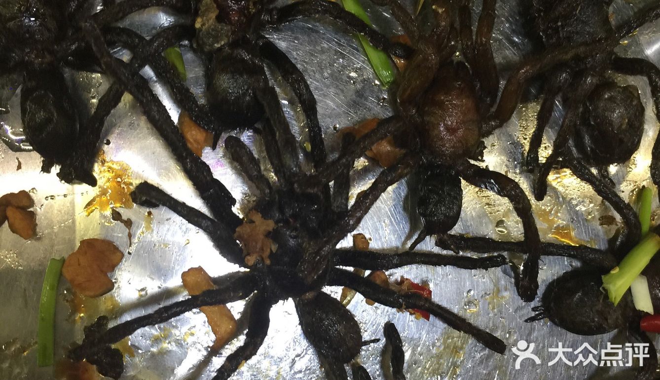 我在柬埔寨吃的各种虫子