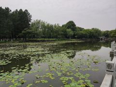 -范蠡湖公园