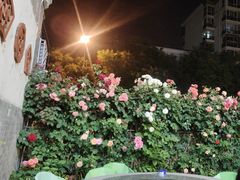 -张记焖窑·十五年专注焖烤(雍和宫店)