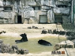 -黔灵山公园