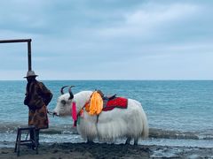 -青海湖国家重点风景名胜区