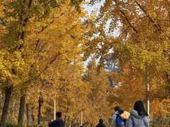 -白鹭湾湿地公园