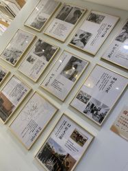 -镁连社·美联社