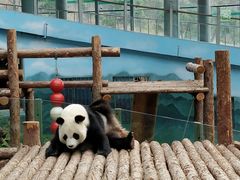 -大连森林动物园