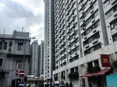-香港宠物街