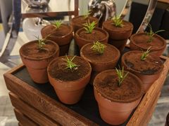 -亮马河饭店翠雅咖啡厅