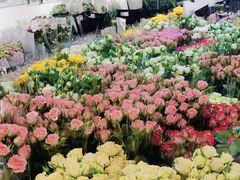 -溪岸路花鸟市场