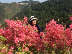 -木兰云雾山